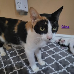 Thumbnail photo of Gina #3