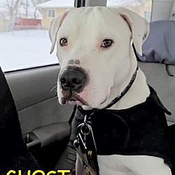 Photo of GHOST