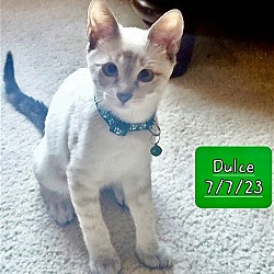 Photo of Dulce
