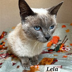 Photo of Lela