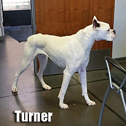 Thumbnail photo of Turner #2