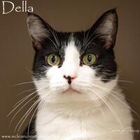 Photo of DELLA