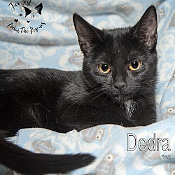 Photo of Dedra