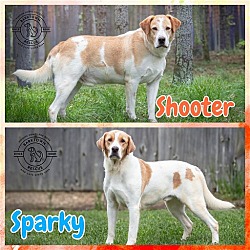 Photo of Shooter & Sparky