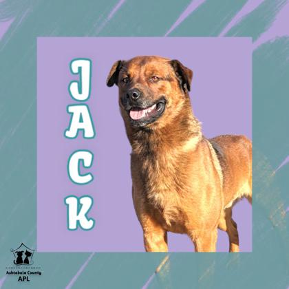 Thumbnail photo of Jack #1
