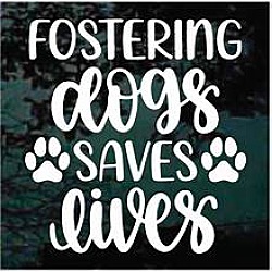 Thumbnail photo of Love Dogs! Foster! #2