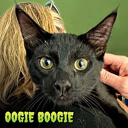 Thumbnail photo of Oogie Boogie #1