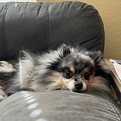 Photo of Xander