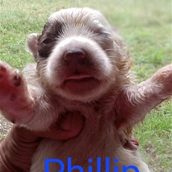 Photo of Phillip 3127