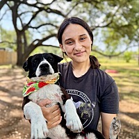 adopt a pet