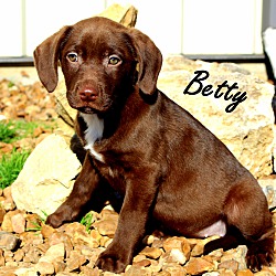 Thumbnail photo of Betty~adopted! #2
