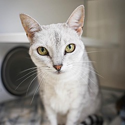 Photo of Momo