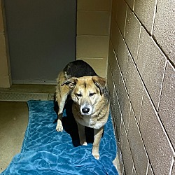 Photo of Delilah (HUNTRESS)