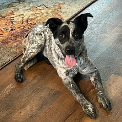 Photo of Dottie