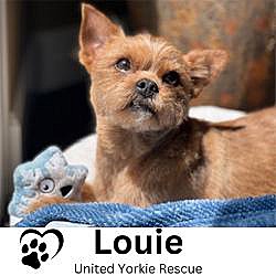 Photo of Louie