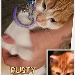 Thumbnail photo of Cali & Rusty #2
