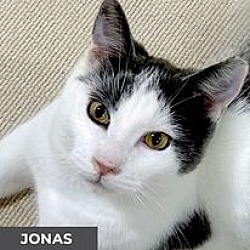 Photo of Jonas