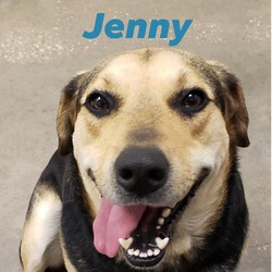 Thumbnail photo of Jenny #2