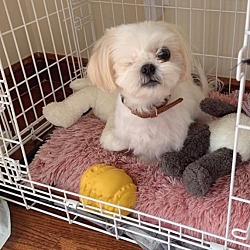 Photo of Bei-Bei