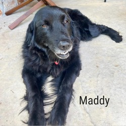 Photo of Maddy