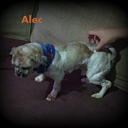 Thumbnail photo of Alec #4