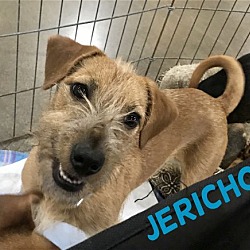 Photo of Jericho in Texarkana, TX