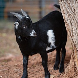 Photo of Eugene