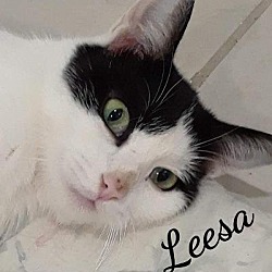 Thumbnail photo of Leesa #1