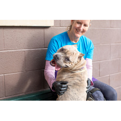 Thumbnail photo of Luisa (Trial adoption) #3