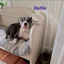 Photo of Zellie