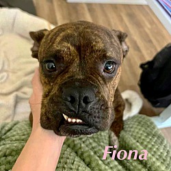 Thumbnail photo of FIONA #2