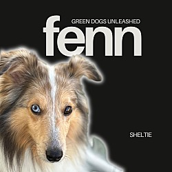 Thumbnail photo of Fenn #1