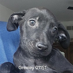 Photo of Greeley