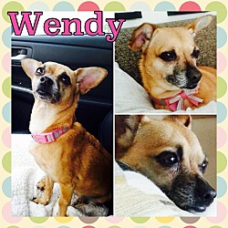Thumbnail photo of wendy #2