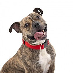 Photo of Turbo