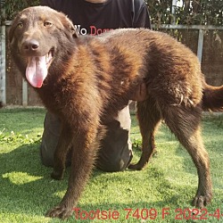 Photo of Tootsie 7409