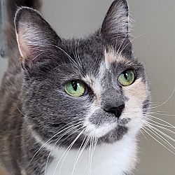 Photo of Millie