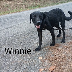 Photo of Winne.