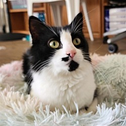 Photo of Katharine