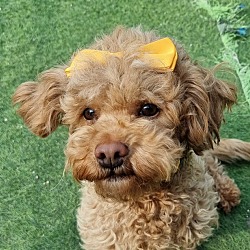 Photo of Melly