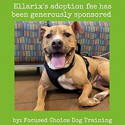 Photo of Ellarix