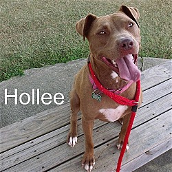 Thumbnail photo of Hollee #1