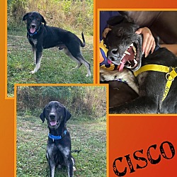 Photo of Cisco