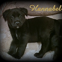 Thumbnail photo of Hannabel #1