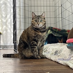 Photo of Blossom