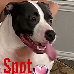 Thumbnail photo of Spot #2