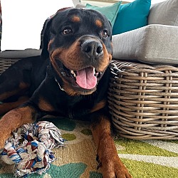 Photo of Reign