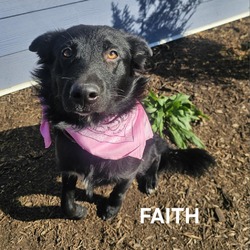 Thumbnail photo of Faith #2