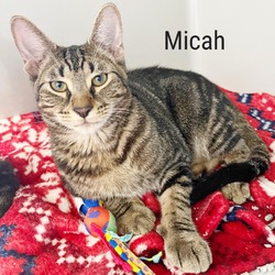 Thumbnail photo of Micah #2