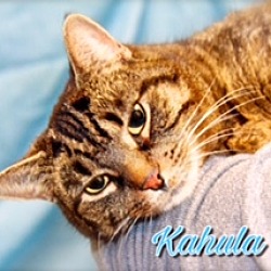 Photo of Kahula